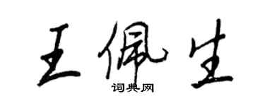 王正良王佩生行書個性簽名怎么寫