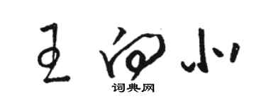 駱恆光王向北草書個性簽名怎么寫