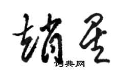 駱恆光趙星草書個性簽名怎么寫