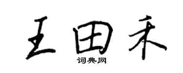 王正良王田禾行書個性簽名怎么寫