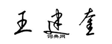 梁錦英王建奎草書個性簽名怎么寫