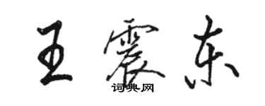 駱恆光王震東行書個性簽名怎么寫