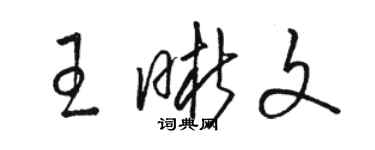 駱恆光王晰文草書個性簽名怎么寫