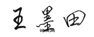 駱恆光王墨田行書個性簽名怎么寫