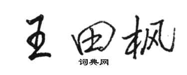 駱恆光王田楓行書個性簽名怎么寫