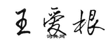 駱恆光王愛根行書個性簽名怎么寫