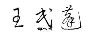 駱恆光王民蓬草書個性簽名怎么寫