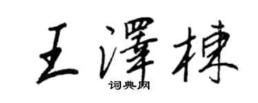 王正良王澤棟行書個性簽名怎么寫