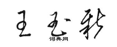 駱恆光王玉新草書個性簽名怎么寫