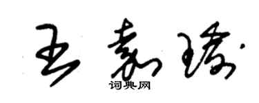 朱錫榮王嘉瑜草書個性簽名怎么寫