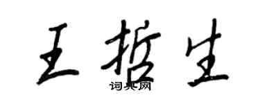 王正良王哲生行書個性簽名怎么寫
