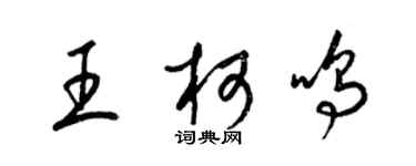 梁錦英王柯鳴草書個性簽名怎么寫