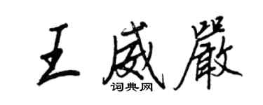 王正良王威嚴行書個性簽名怎么寫