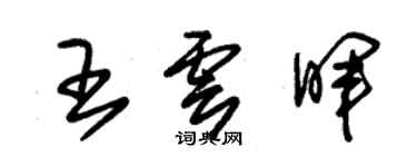 朱錫榮王雲暉草書個性簽名怎么寫