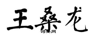 翁闓運王桑龍楷書個性簽名怎么寫