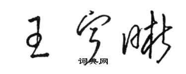 駱恆光王寧晰草書個性簽名怎么寫