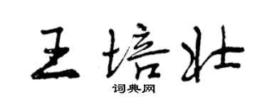 曾慶福王培壯行書個性簽名怎么寫
