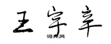 曾慶福王宇辛行書個性簽名怎么寫