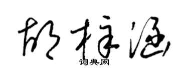 梁錦英胡梓涵草書個性簽名怎么寫