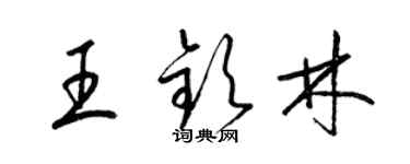 梁錦英王欽林草書個性簽名怎么寫