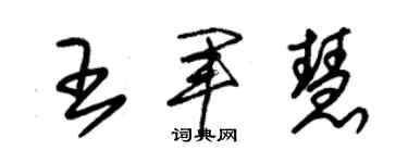 朱錫榮王軍慧草書個性簽名怎么寫
