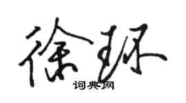 駱恆光徐環行書個性簽名怎么寫