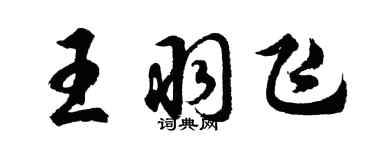 胡問遂王羽飛行書個性簽名怎么寫