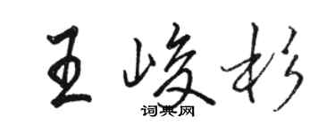 駱恆光王峻杉行書個性簽名怎么寫