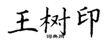 丁謙王樹印楷書個性簽名怎么寫