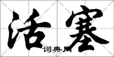 胡問遂活塞行書怎么寫