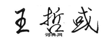 駱恆光王哲或行書個性簽名怎么寫