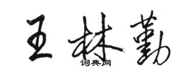 駱恆光王林勤行書個性簽名怎么寫