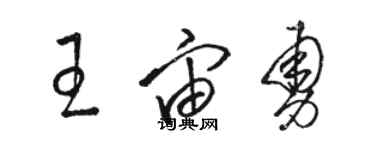 駱恆光王宙勇草書個性簽名怎么寫