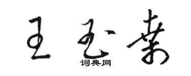 駱恆光王玉桑草書個性簽名怎么寫