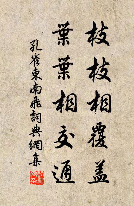 佚名枝枝相覆蓋,葉葉相交通。書法作品欣賞