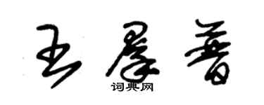 朱錫榮王群普草書個性簽名怎么寫