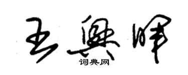 朱錫榮王興暉草書個性簽名怎么寫