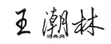 駱恆光王潮林行書個性簽名怎么寫
