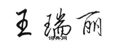 駱恆光王瑞麗行書個性簽名怎么寫