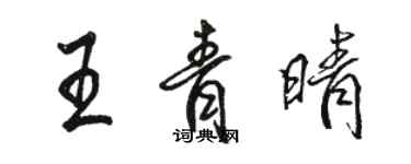 駱恆光王青晴行書個性簽名怎么寫