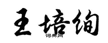 胡問遂王培絢行書個性簽名怎么寫