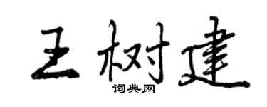 曾慶福王樹建行書個性簽名怎么寫