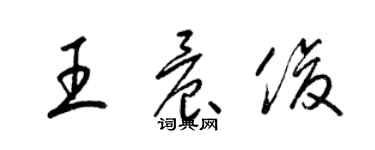 梁錦英王晨俊草書個性簽名怎么寫