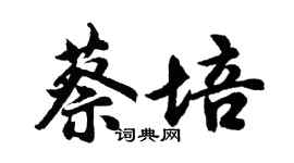 胡問遂蔡培行書個性簽名怎么寫