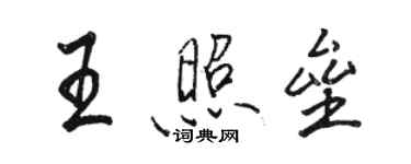 駱恆光王照壘行書個性簽名怎么寫