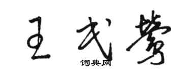 駱恆光王民鶯草書個性簽名怎么寫