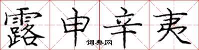 龐中華露申辛夷楷書怎么寫