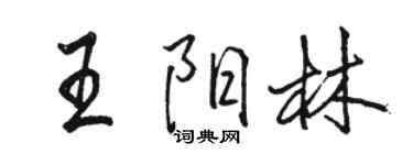 駱恆光王陽林行書個性簽名怎么寫