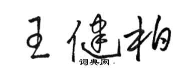 駱恆光王健柏草書個性簽名怎么寫