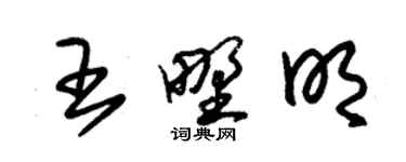 朱錫榮王野明草書個性簽名怎么寫